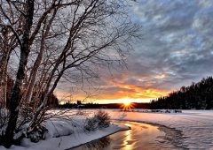 Utforska naturen på vintern