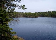 Tyresta