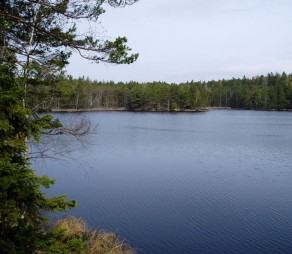 Tyresta
