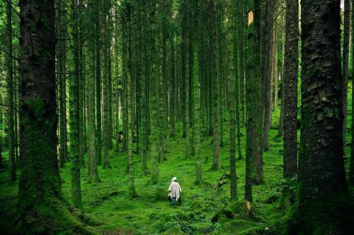Leva nära naturen